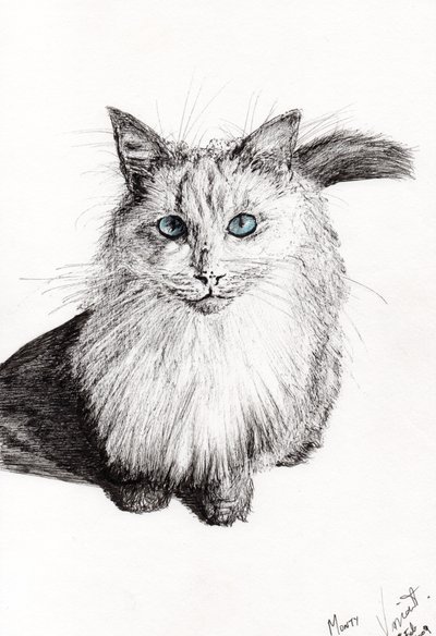 Monty by Vincent Alexander Booth